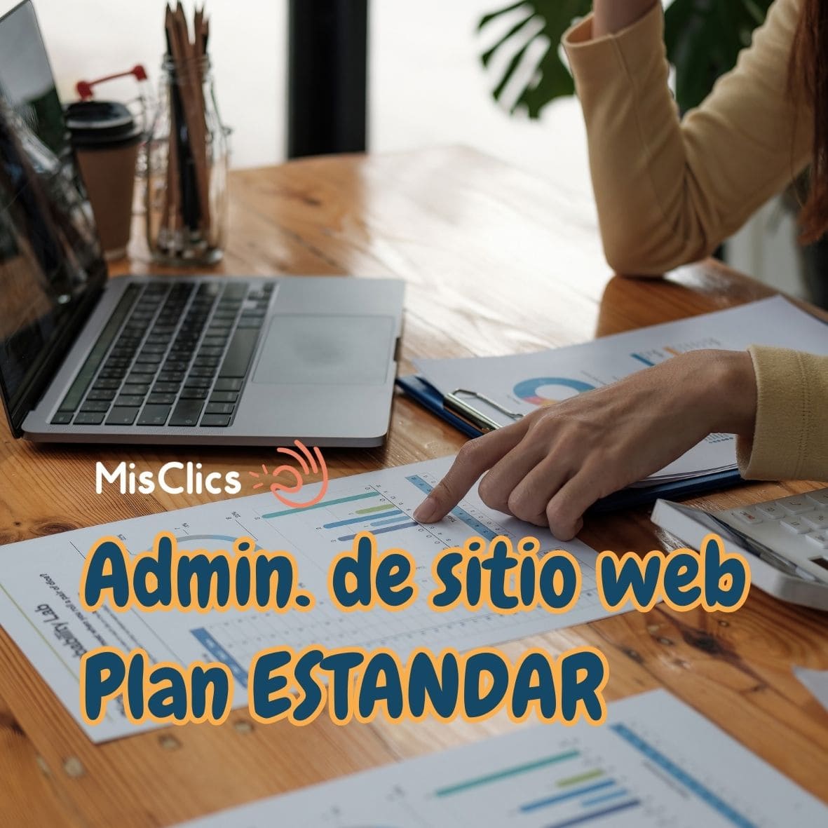 Administración de sitio web Plan Estandar